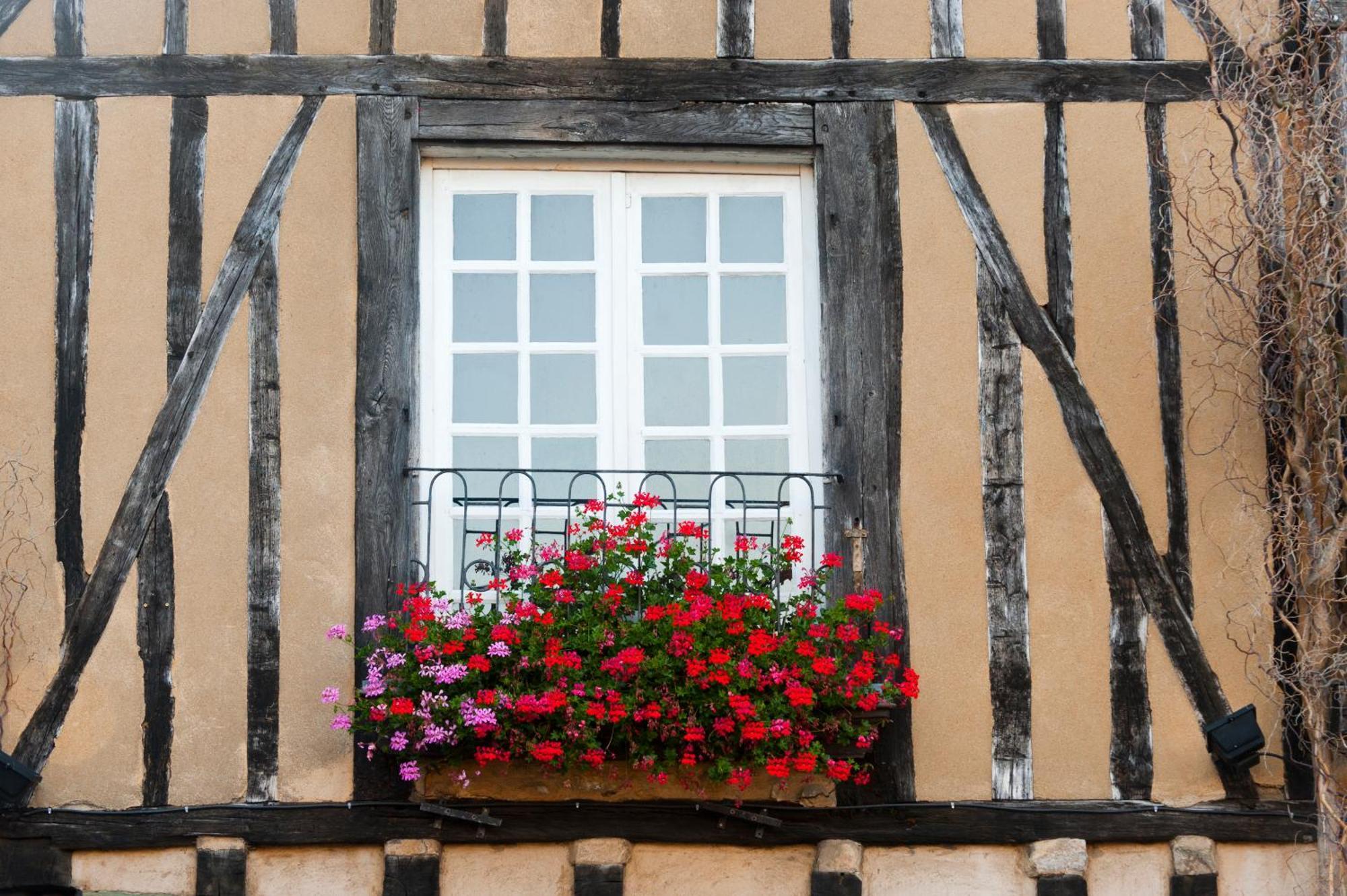 Chambres D'Hote - Maison Des Ecrivains - 50 M De La Cathedrale Et Place Des Jacobins Le Mans Buitenkant foto